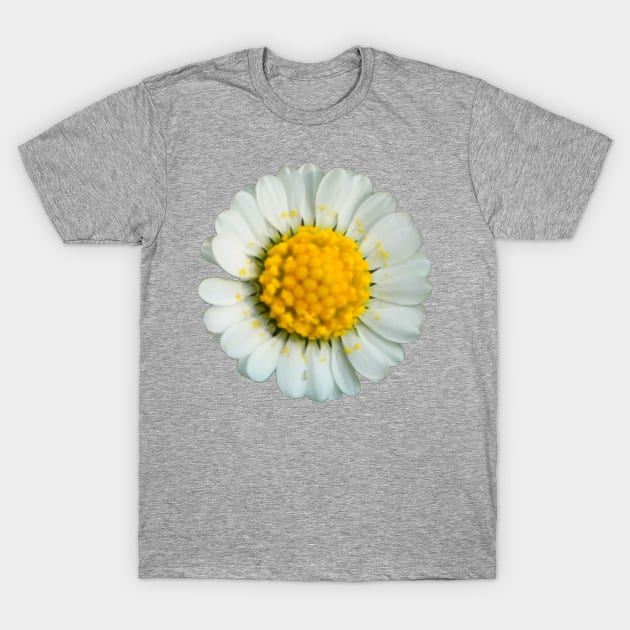 Big daisy T-Shirt by ghjura